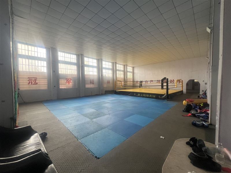 招聘武术套路教练 散打搏击教练